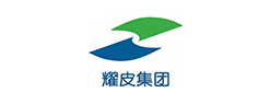 耀皮集团